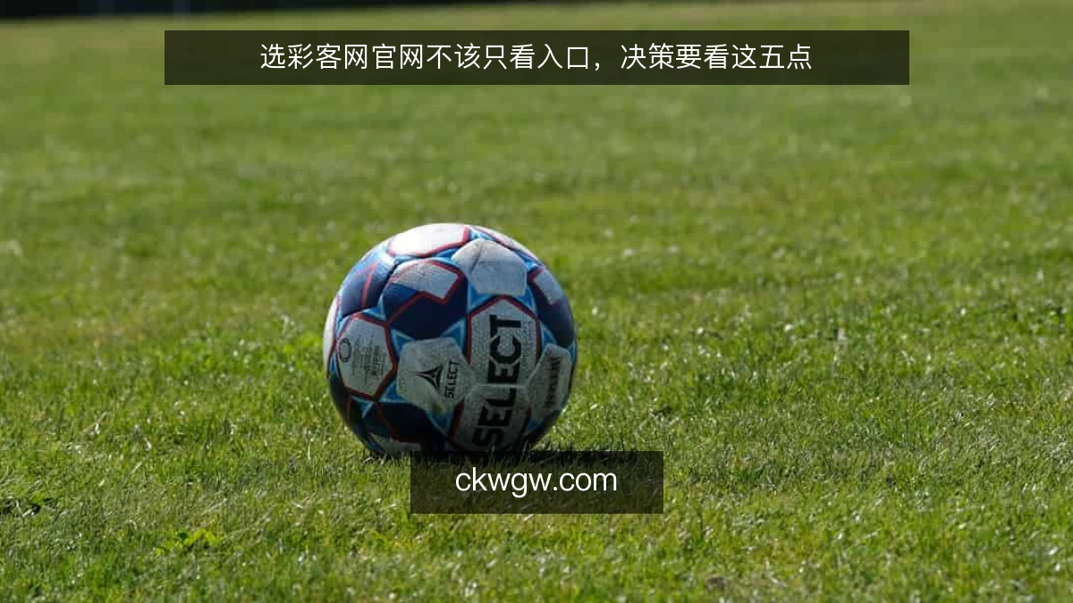 选彩客网官网不该只看入口，决策要看这五点