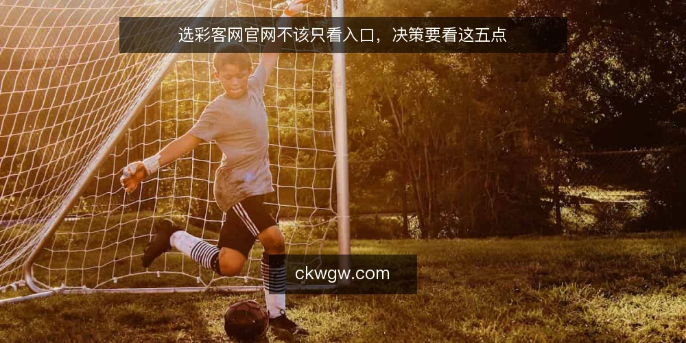 选彩客网官网不该只看入口，决策要看这五点 — 先定义需求边界，而不是先找入口 配图