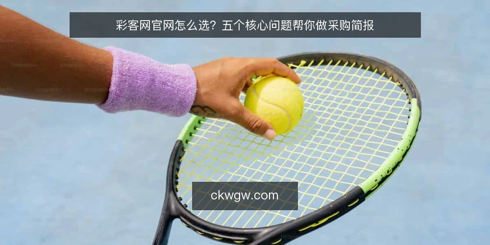 彩客网官网怎么选？五个核心问题帮你做采购简报 — 彩客网官网的核心需求是什么？ 配图