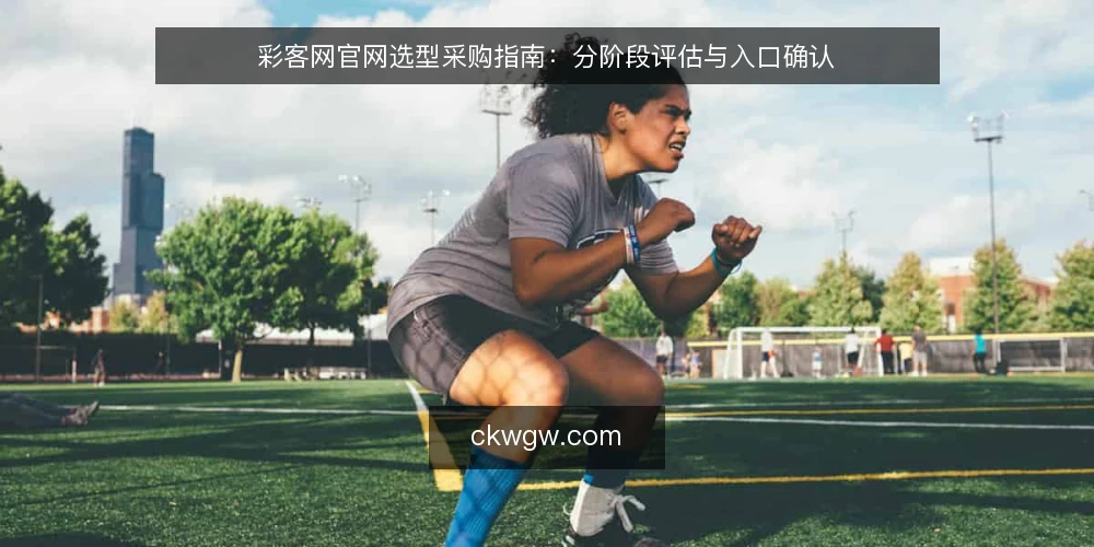 彩客网官网选型采购指南:分阶段评估与入口确认 — 明确需求边界:采购前的基础检查 配图