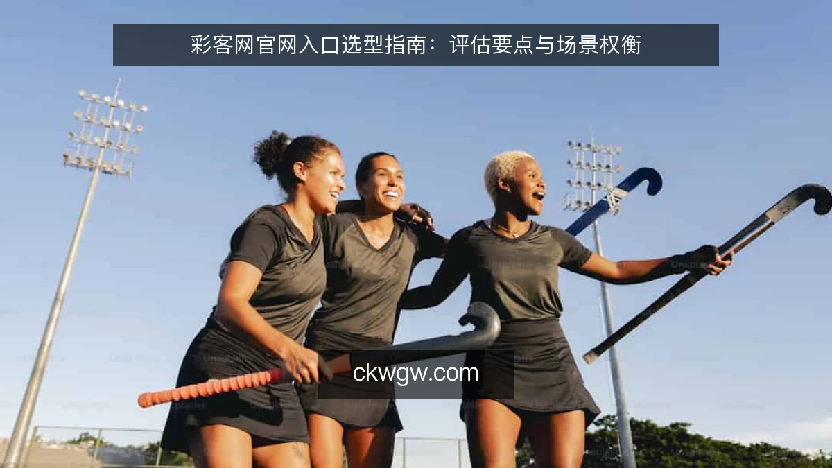 彩客网官网入口选型指南:评估要点与场景权衡