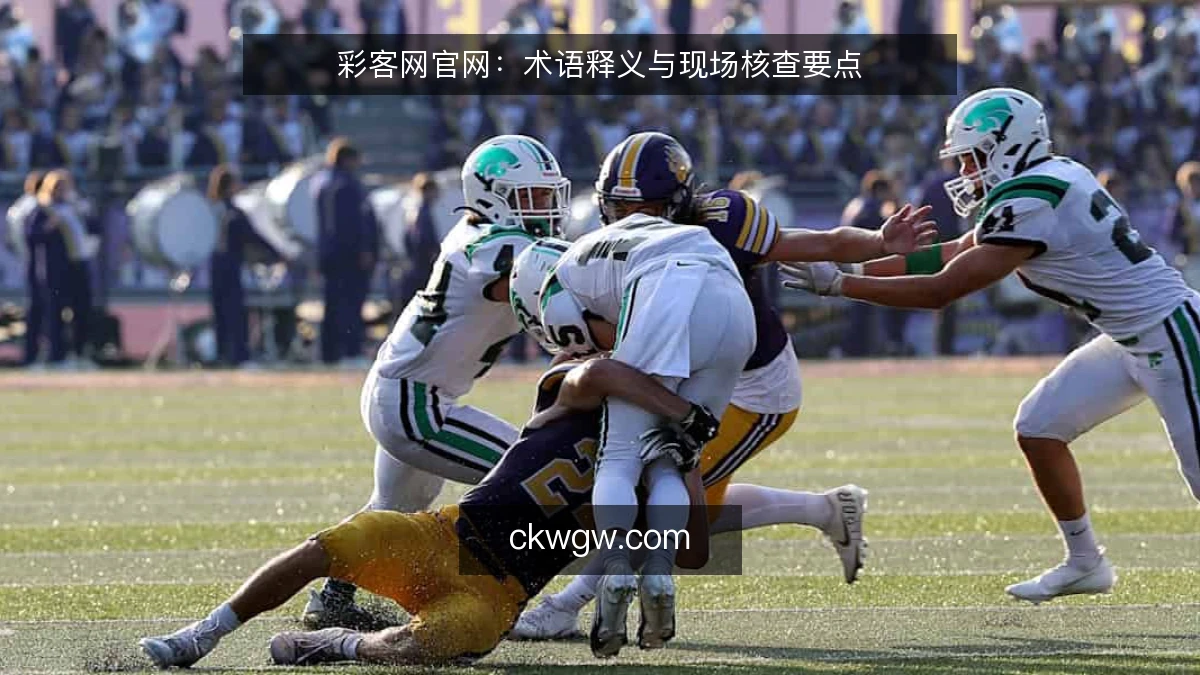 彩客网官网：术语释义与现场核查要点
